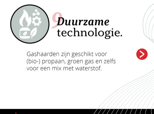 11 Zekerheden Carrousel 9