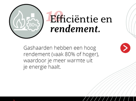11 Zekerheden Carrousel 10