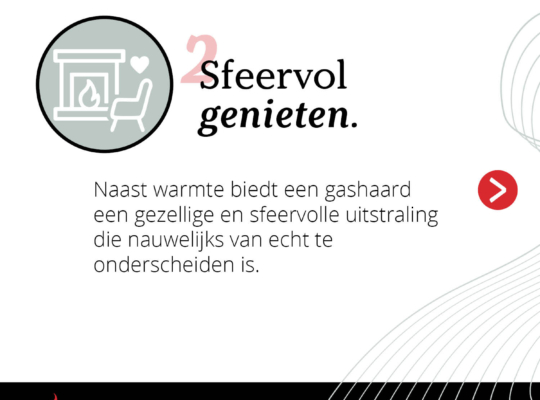 11 Zekerheden Carrousel 2