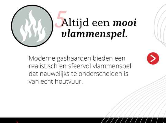 11 Zekerheden Carrousel 5