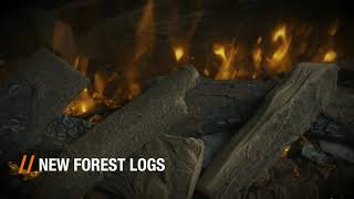 British Fires Brockenhurst video