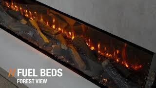 British Fires New Forest 1600 video