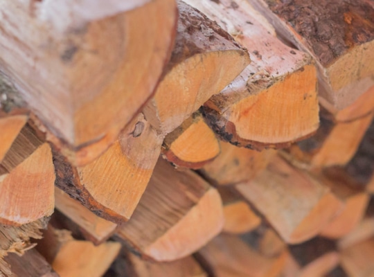 bg-hout-bestellen